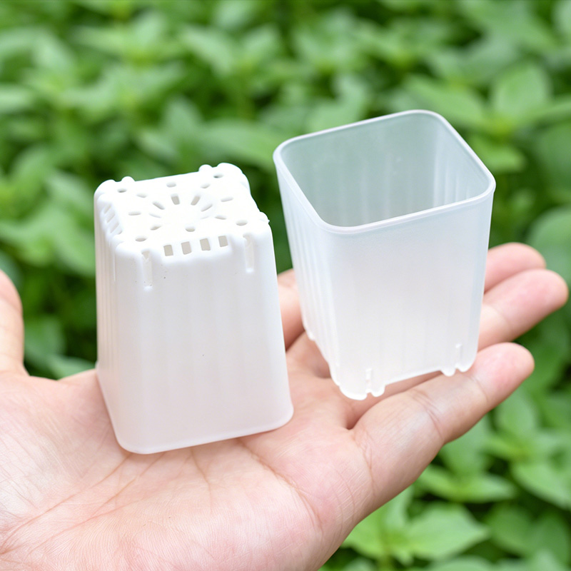 Food Storage Plants - Maceta cuadrada blanca/transparente de 4cm, mini