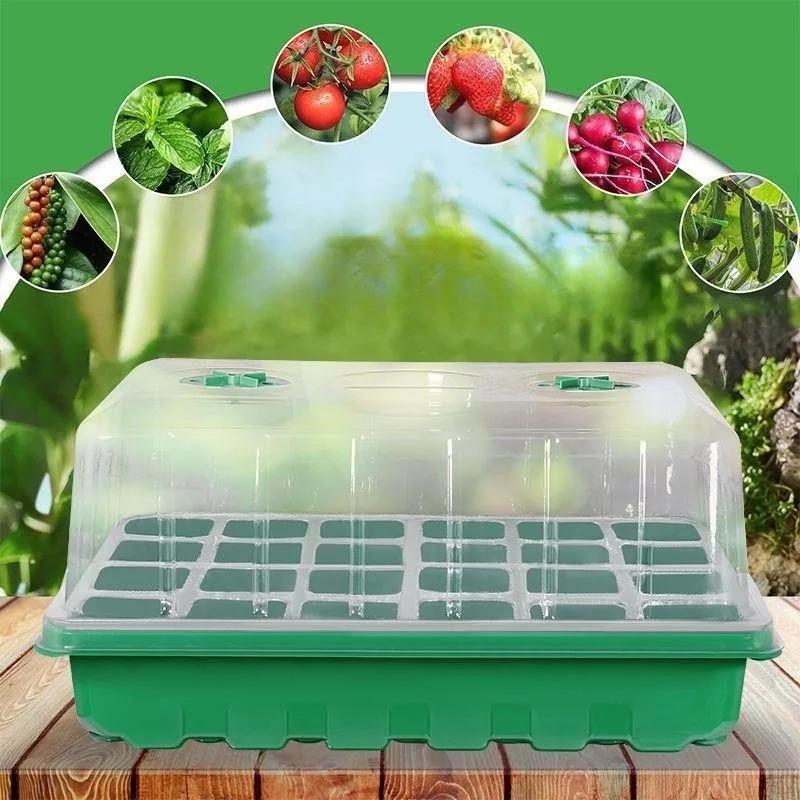 Food Storage Plants - Kit de Bandejas para Plántulas de