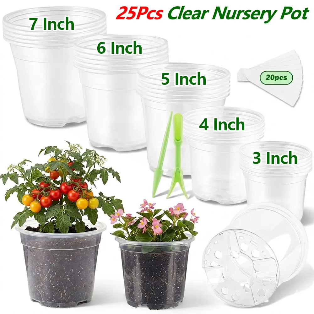 Food Storage Plants - 25 Macetas Transparentes de Plástico para