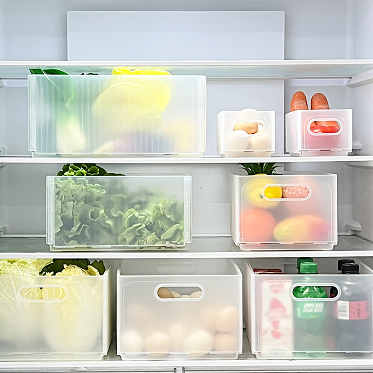 WORTHBUY-caja de almacenamient - Xxl Food Storage Container reseña y precio