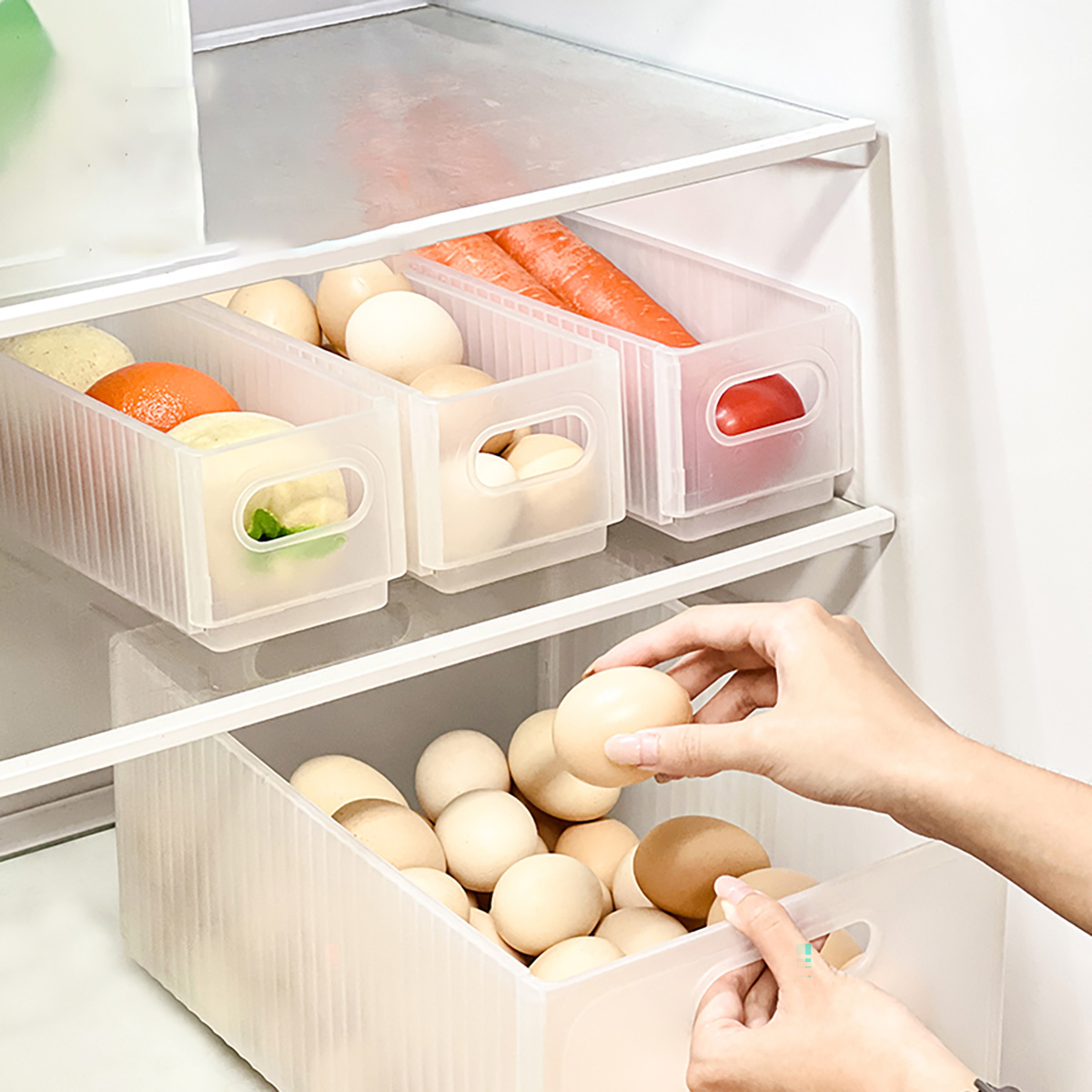 WORTHBUY-caja de almacenamient - Xxl Food Storage Container reseña y precio