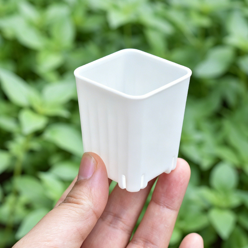 Maceta cuadrada blanca/transpa - Food Storage Plants reseña y precio
