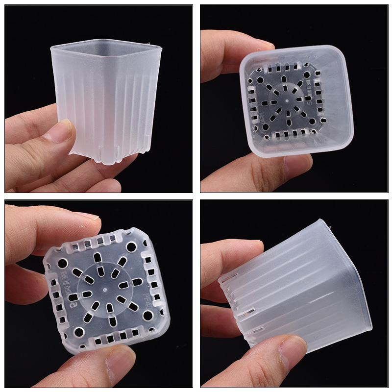 Maceta cuadrada blanca/transpa - Food Storage Plants reseña y precio