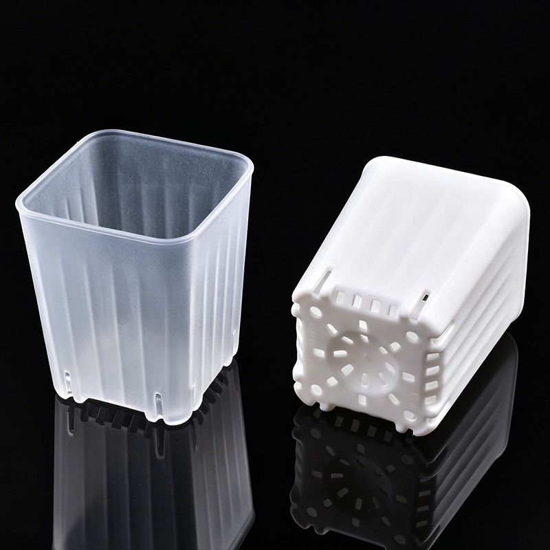 Maceta cuadrada blanca/transpa - Food Storage Plants reseña y precio