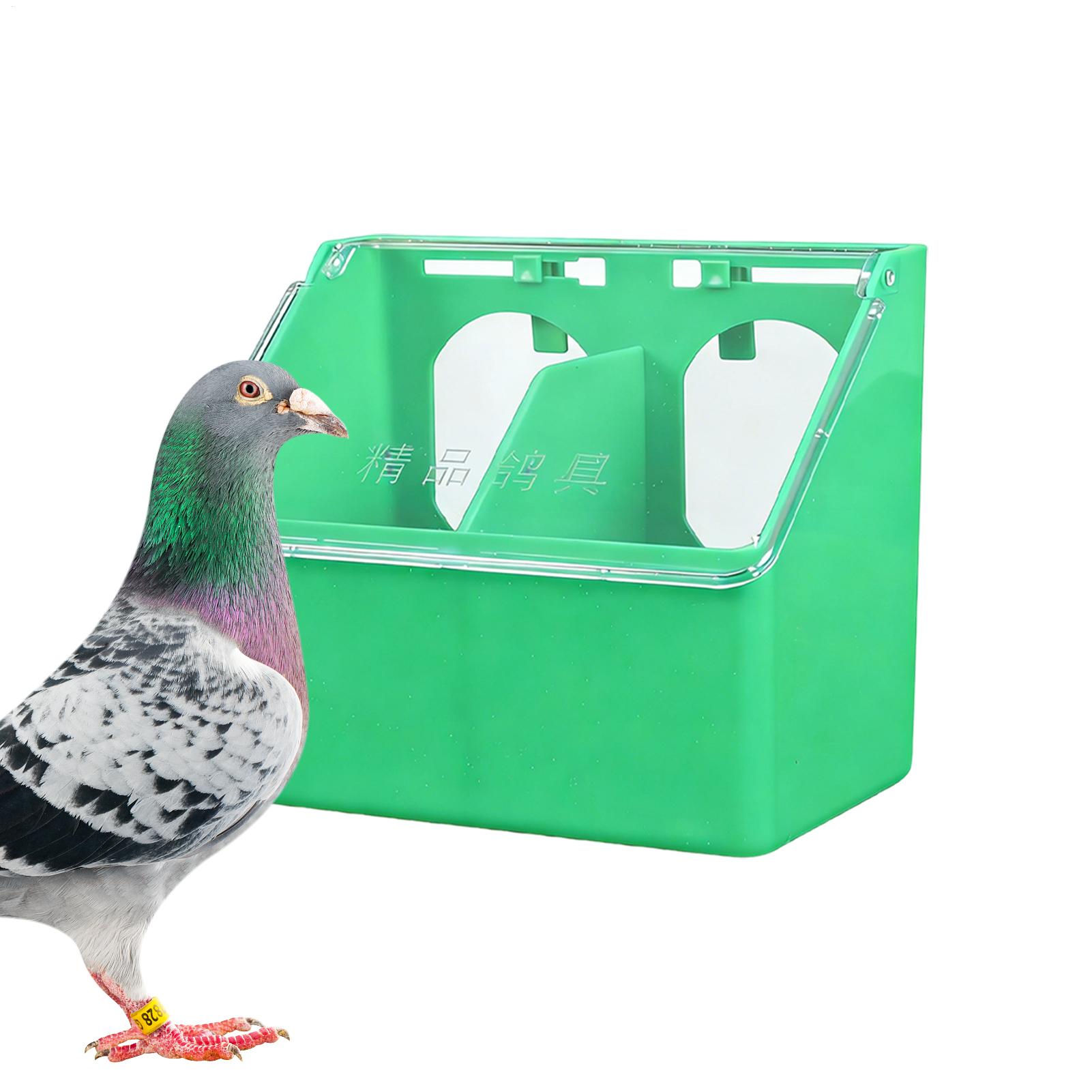 Comedero para Pájaros, Caja Co - Xxl Food Storage Container reseña y precio