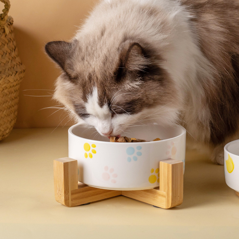 Cuenco de cerámica para perros - Food Storage Safety reseña y precio