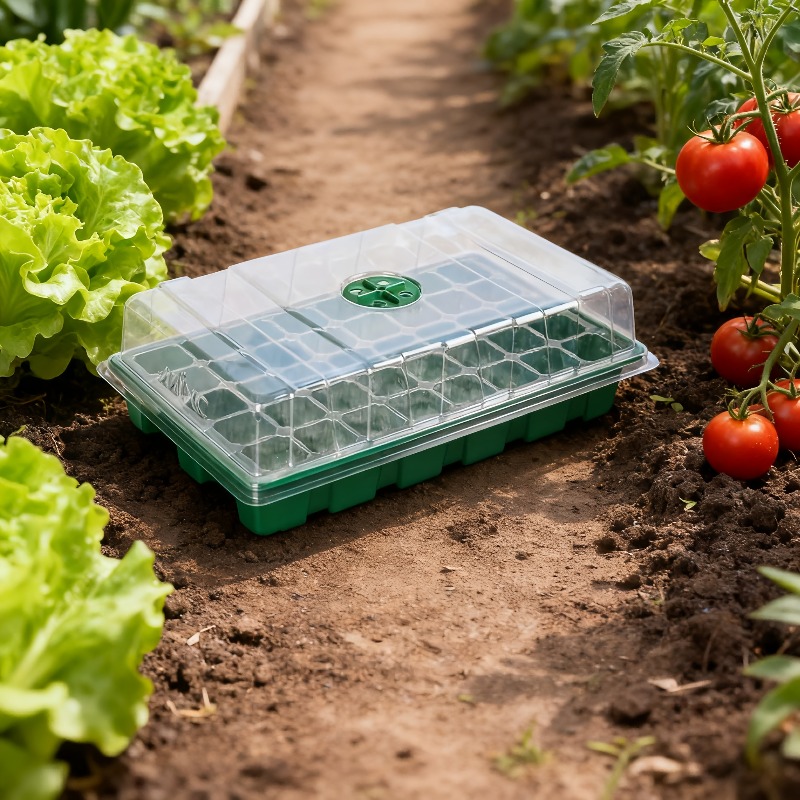 Kit de Bandejas para Plántulas - Food Storage Plants reseña y precio