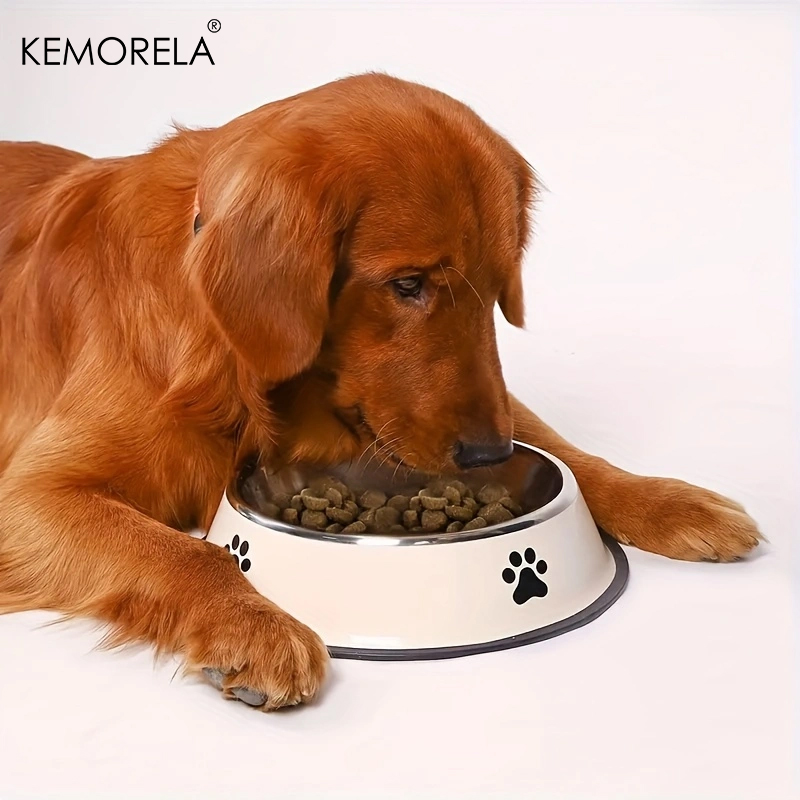 Cuenco de acero inoxidable par - Xxl Food Storage Container reseña y precio