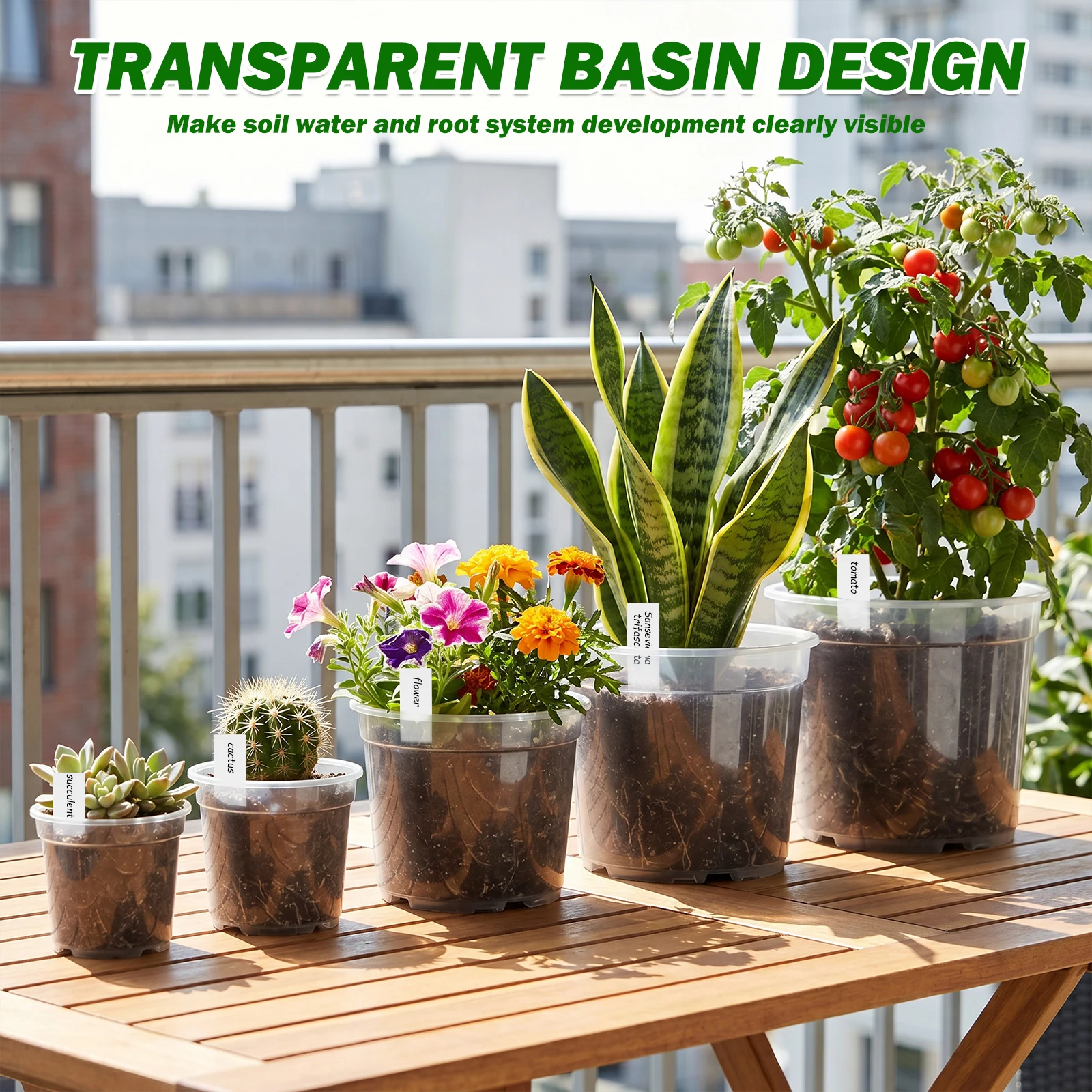 25 Macetas Transparentes de Pl - Food Storage Plants reseña y precio